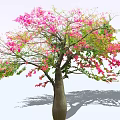 Beautiful Arbor With Pink Flowers Green Leaves Thick Trunk And Shadow