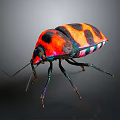 Colorful Beetle With Shiny Exoskeleton Vibrant Red Orange Black Patterns And Green Blue Legs