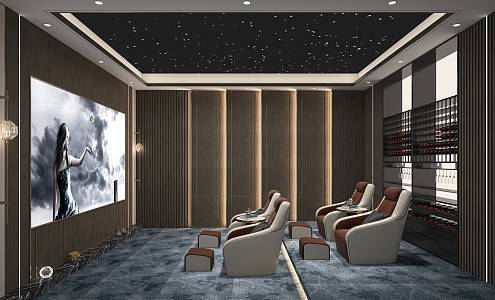 modern video room 3d model