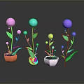 Colorful Spherical Flower Plants in Orange White Gray Pots with Green Leaves on Dark Background