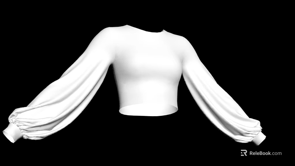 White Crop Top With Long Flowing Sleeves And Loose Fit Design 3d model 