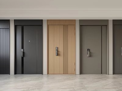 Various Security Doors With Black Wooden And Gray Finishes In Modern 3d model