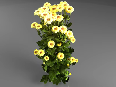 Vibrant Yellow Flowers With Green Leaves And Dark Centers Fresh Bouquet 3d model