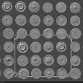 Collection of Decorative Ceiling Medallions With Various Intricate Patterns And Designs