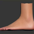 Medical Prosthetic Foot Device Supporting Human Limb Rehabilitation And Recovery