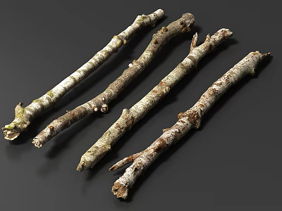 Natural Rustic Stone Wood Branches With Rough Bark Texture For Decorative Crafts 3d model