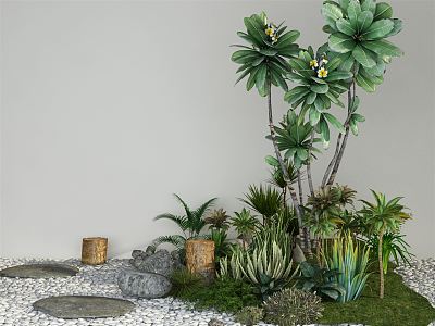 Modern Plant Combinations 3d model