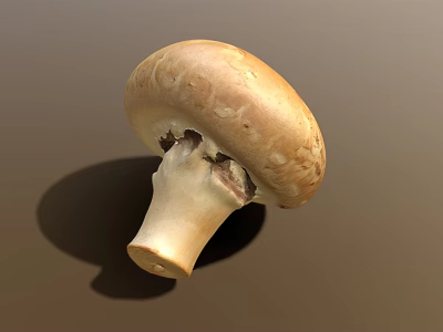 Fresh Brown Mushroom with Smooth Cap and White Stem Isolated on Neutral Background 3d model