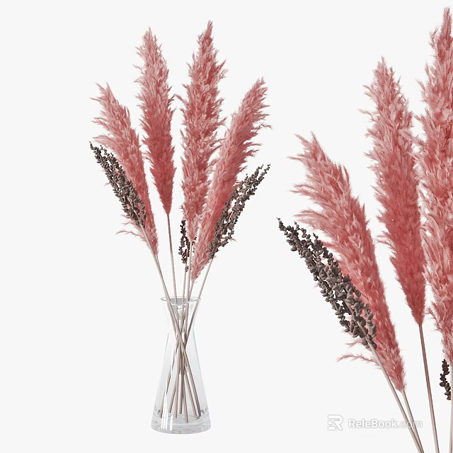 Pink Feathery Pampas Grass and Dark Floral Sprigs in Transparent Glass Vase 3d model 
