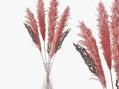 Pink Feathery Pampas Grass and Dark Floral Sprigs in Transparent Glass Vase 3d model