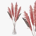 Pink Feathery Pampas Grass and Dark Floral Sprigs in Transparent Glass Vase