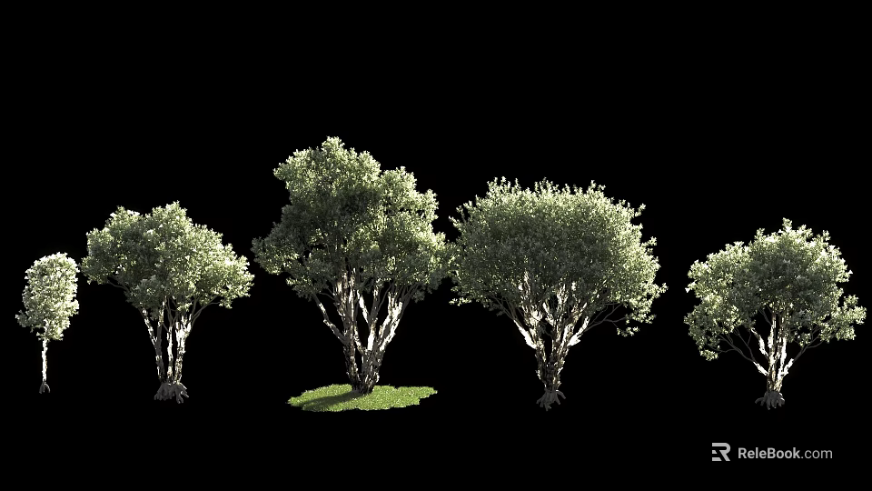 Several Arbor Trees With Lush Green Foliage And Different Trunk Shapes Isolated On Black Background 3d model 
