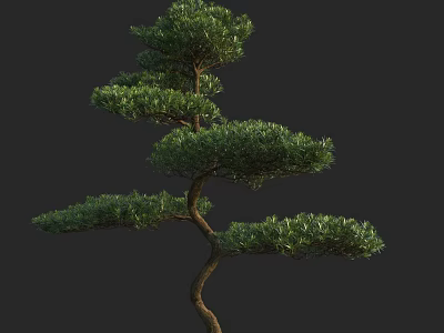 Elegant Arbor With Curved Branches And Layered Green Foliage On Dark Background 3d model