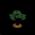 Lush Green Tropical Palm Plant With Fan Shaped Leaves And Brown Pot Base