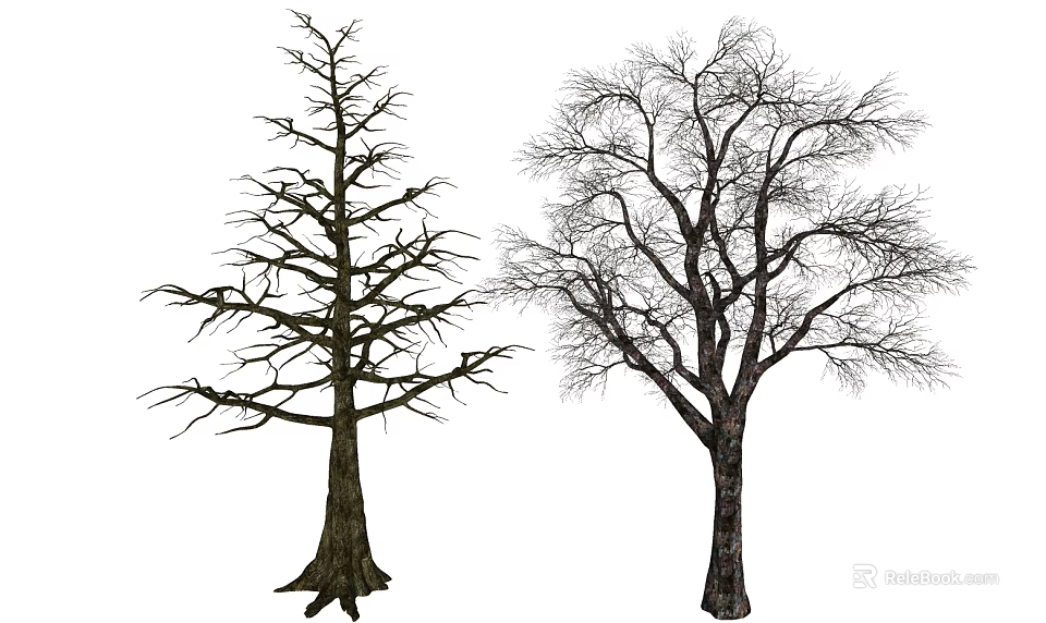 Two Tall Leafless Trees With Thick Trunks And Intricate Branches Structure 3d model 