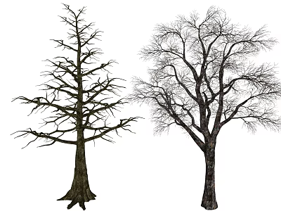 Two Tall Leafless Trees With Thick Trunks And Intricate Branches Structure 3d model