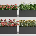 Decorative Rectangular Dark Planters With Red Pink White Yellow Vibrant Blooms 3d model