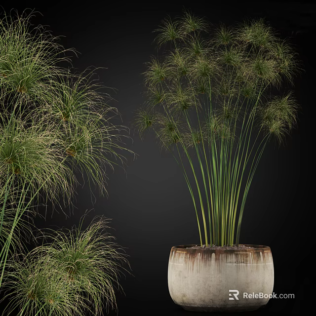 Potted Bonsai Plant with Long Slender Green Leaves in Rustic Ceramic Pot 3d model 