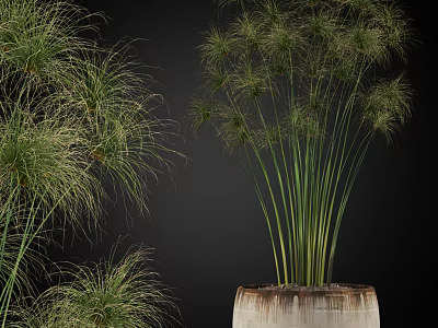 Potted Bonsai Plant with Long Slender Green Leaves in Rustic Ceramic Pot 3d model
