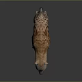 Realistic Hyena 3D Model Standing On Dark Background Spotted Body Mouth Slightly Open Showing Teeth