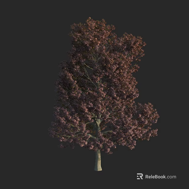 Ornamental Arbor With Vibrant Purple Foliage And Dense Branch Structure 3d model 
