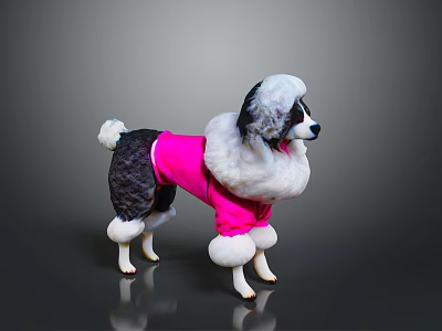 Poodle Dog Wearing Pink Outfit With White Furry Trim Against Gray Background 3d model