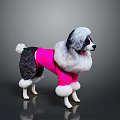 Poodle Dog Wearing Pink Outfit With White Furry Trim Against Gray Background