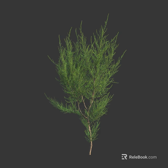 Green Bush with Dense Foliage and Slender Branches in Natural Growth 3d model 