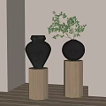 Black Ceramic Jar and Spherical Vase on Wooden Pedestals with Green Plant Branches