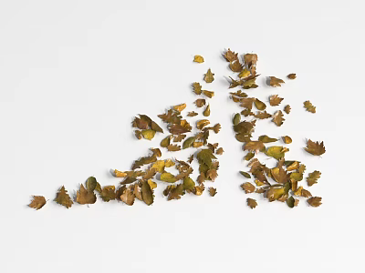 Natural Ground Cover With Green And Yellow Fallen Leaves On White Surface 3d model