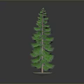 Green Potted Pine Tree on Black Tabletop With White Base Against Gray Background 3d model