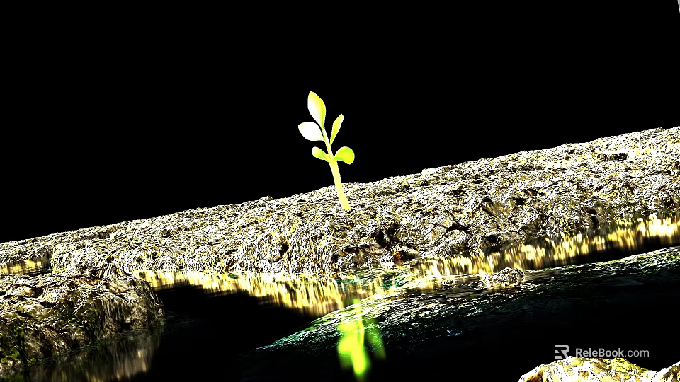 Small Green Seedling Growing On Rough Ground With Water Reflection Against Black Background 3d model