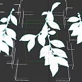 Fresh Green Leafy Branches Natural Botanical Foliage on Dark Background