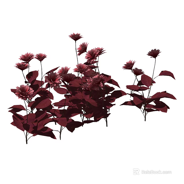 Red Garden Flowers With Dark Red Leaves And Blooming Petals In Natural Setting 3d model 