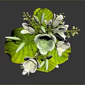 Decorative Plant With White Flowers Green Leaves And Green Berries In Vase