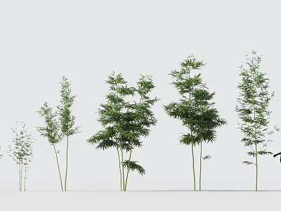 Growing Bamboo Plants of Different Heights with Lush Green Foliage 3d model