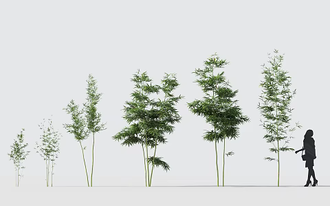 Modern bamboo 3d model