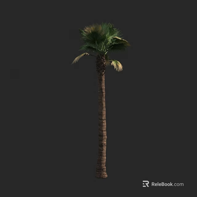 Tall Palm Tree With Green Fronds And Textured Trunk In Natural Scene 3d model 