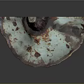 Fan Shaped Teal Fungal Plant With Red Edges And Brown Spots