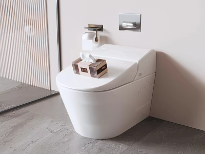 Modern White Wall Mounted Toilet with Toilet Paper Holder and Tissue Box in Bathroom 3d model