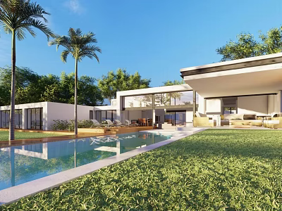 Modern Detached Villa With Swimming Pool Lush Green Lawn Palm Trees And Spacious Outdoor Space 3d model