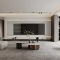 Modern Living And Dining Room Interior Design With Coffee Table TV Unit And Potted Plant