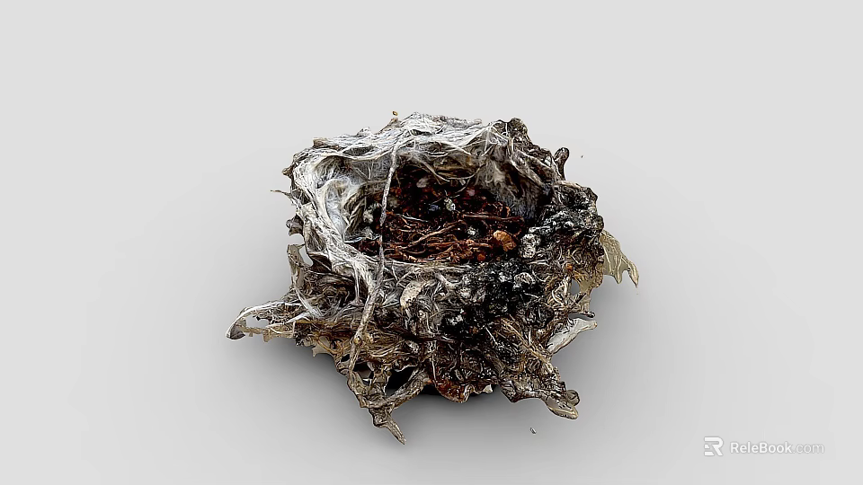 Natural Wild Bird Nest Constructed With Twigs Dry Grass And Small Debris 3d model 