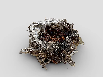 Natural Wild Bird Nest Constructed With Twigs Dry Grass And Small Debris 3d model
