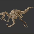 High Quality Medical Skeleton Model For Educational Training In Healthcare Institutions
