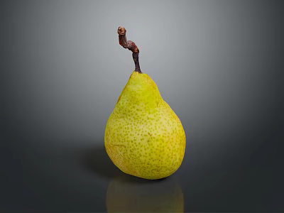Fresh Yellowish Green Pear With Brown Stem On Dark Background Showing Reflection 3d model