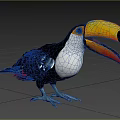The toucan 3d model