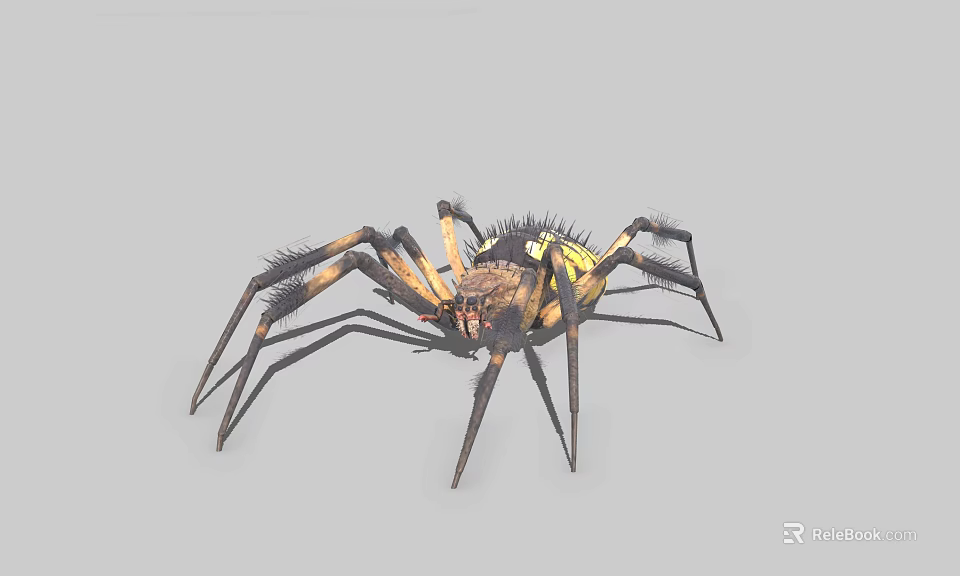 Black and yellow patterned spider with prominent body and elongated legs displaying vivid markings 3d model 
