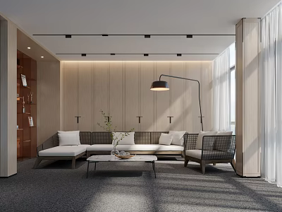 Modern Living Room Interior With Wooden Wall Gray Sofa Floor Lamp Coffee Table And Curtains 3d model