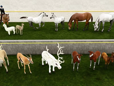 Various Reptile Species In Natural Grassland Habitat With Green Plants 3d model